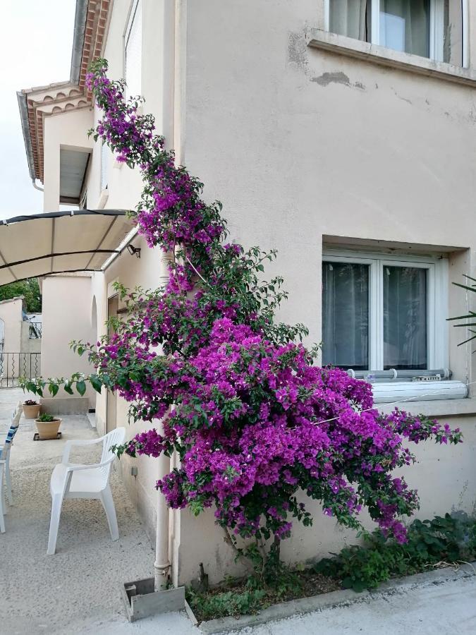 La Maison De 6Fran Appartement 2 Chaleureux Et Calme Ambiance Familiale Valros Eksteriør billede