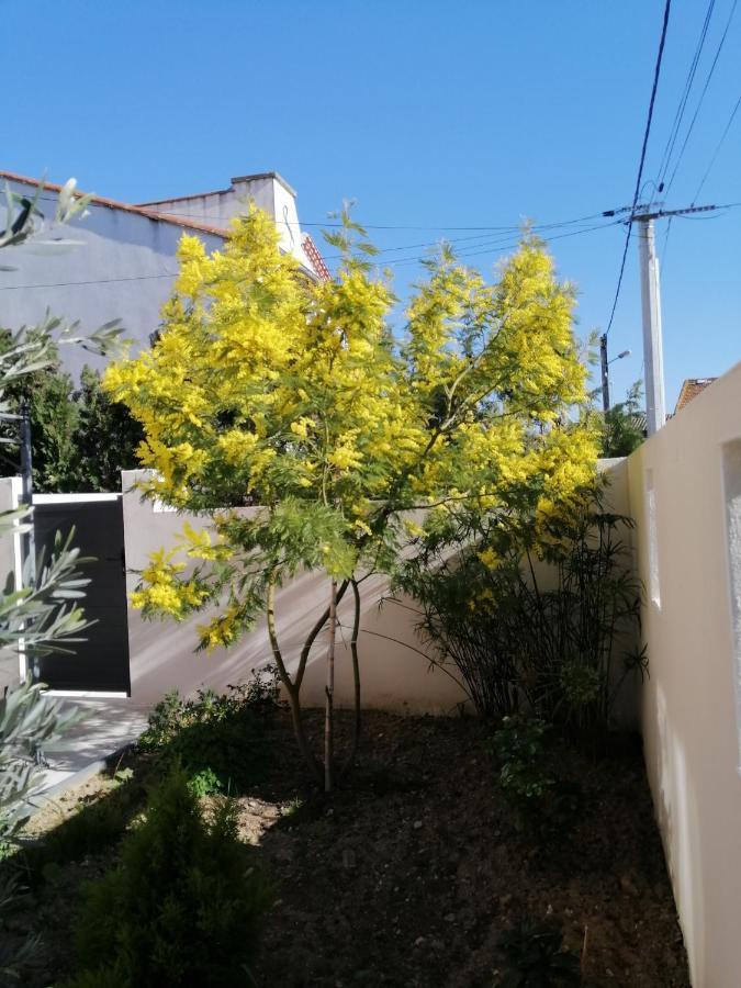 La Maison De 6Fran Appartement 2 Chaleureux Et Calme Ambiance Familiale Valros Eksteriør billede